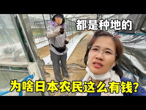 月连败,那不勒斯丢,冠头,皇冠体育app下载,皇冠体育官网,澳门皇冠体育,bet皇冠体育在线