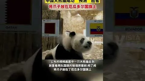 “森林狼管理层决策失误，华子虽出色却难挽球队阵容失调之局”